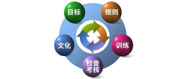 关于赛后费耶诺德备战社区盾，临场应变细节曝光，目标明确，细节决定成败的信息